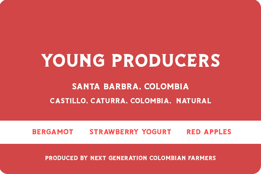 Young Producers
